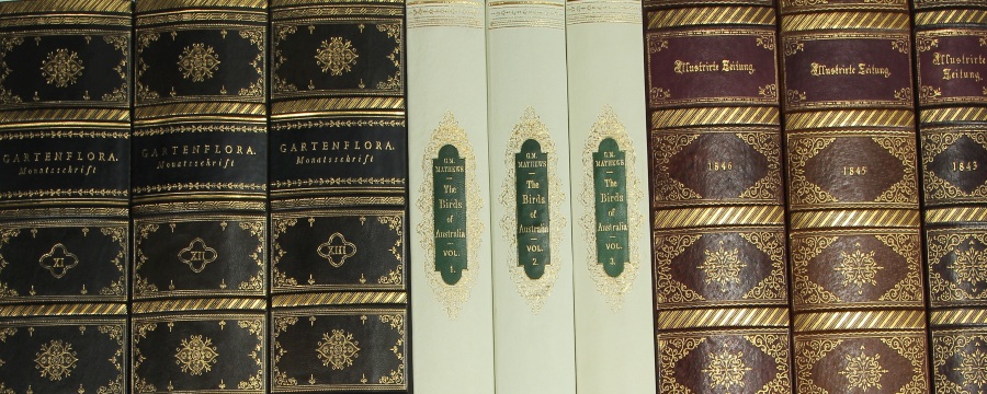 Replica Book Panels Vellum and Parchment Book Spines