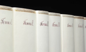 Antique Leather Vellum and Parchment Book Spines
